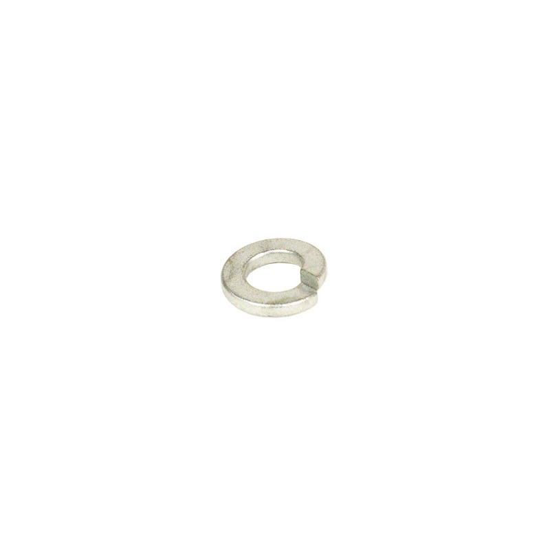 1311. 557099 World Formula Intake Manifold Washer