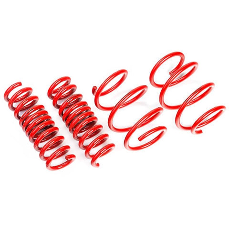 AST Lowering Springs | 1988-1995 BMW M5 (ASTLS-14-422)